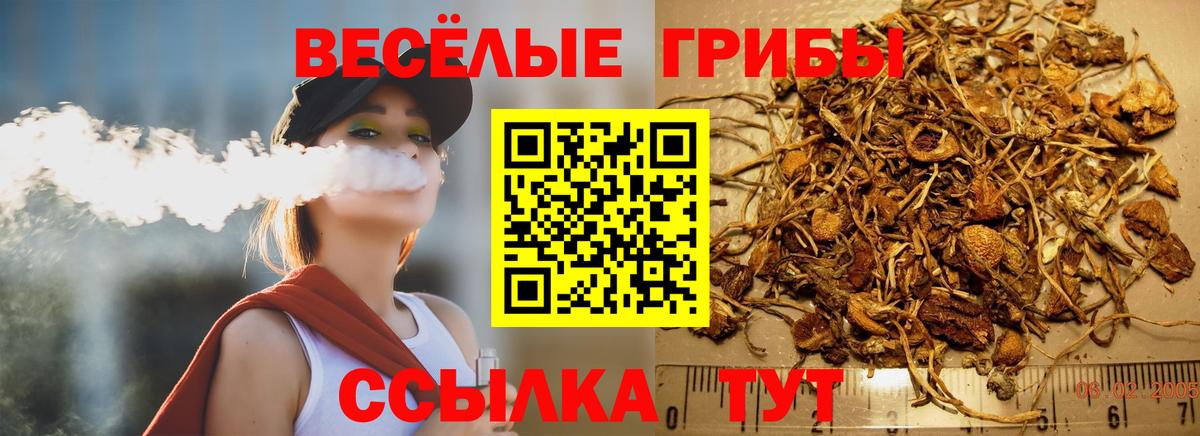 Галлюциногенные грибы ЛСД Свободный